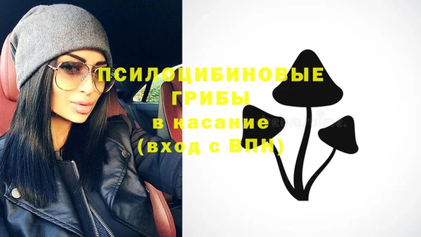 ГАЛЛЮЦИНОГЕННЫЕ ГРИБЫ Белокуриха