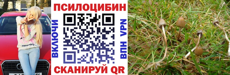 Псилоцибиновые грибы мицелий  ссылка на мегу ссылка  darknet клад  Геленджик 